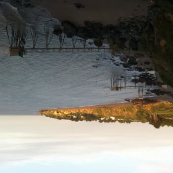 Profil de Aby, 39 ans, Cougare à Oberengstringen (Zurich)